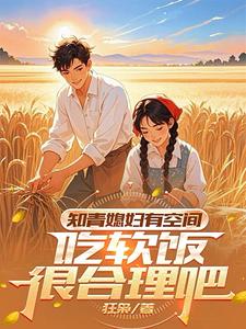 穿68：大小姐为我生了九儿两女